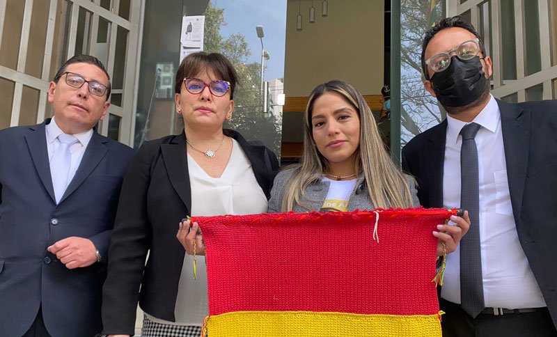 Acción de Inconstitucionalidad en el caso de Jeanine Añez