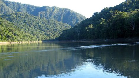 Denuncian que el 80% del Parque Madidi está cuadriculado para minería