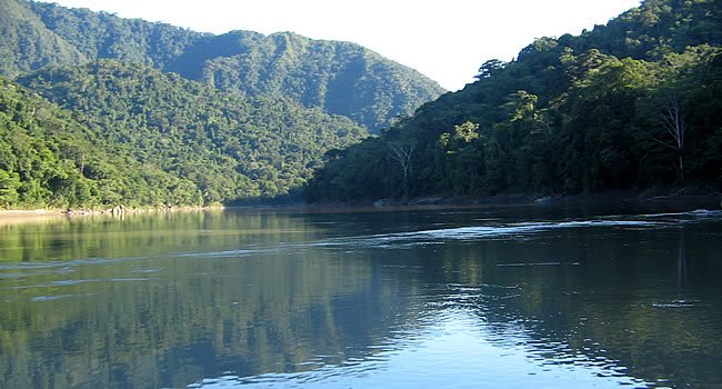 Denuncian que el 80% del Parque Madidi está cuadriculado para minería