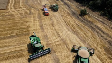 Crisis alimentaria mundial debido a la guerra entre Rusia y Ucrania