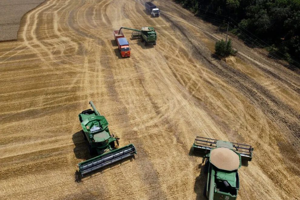 Crisis alimentaria mundial debido a la guerra entre Rusia y Ucrania