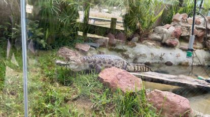 Cierre del Bioparque Vesty Pakos por irregularidades en su funcionamiento