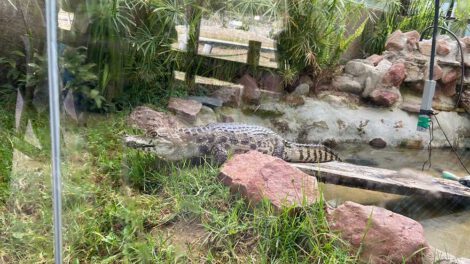 Cierre del Bioparque Vesty Pakos por irregularidades en su funcionamiento