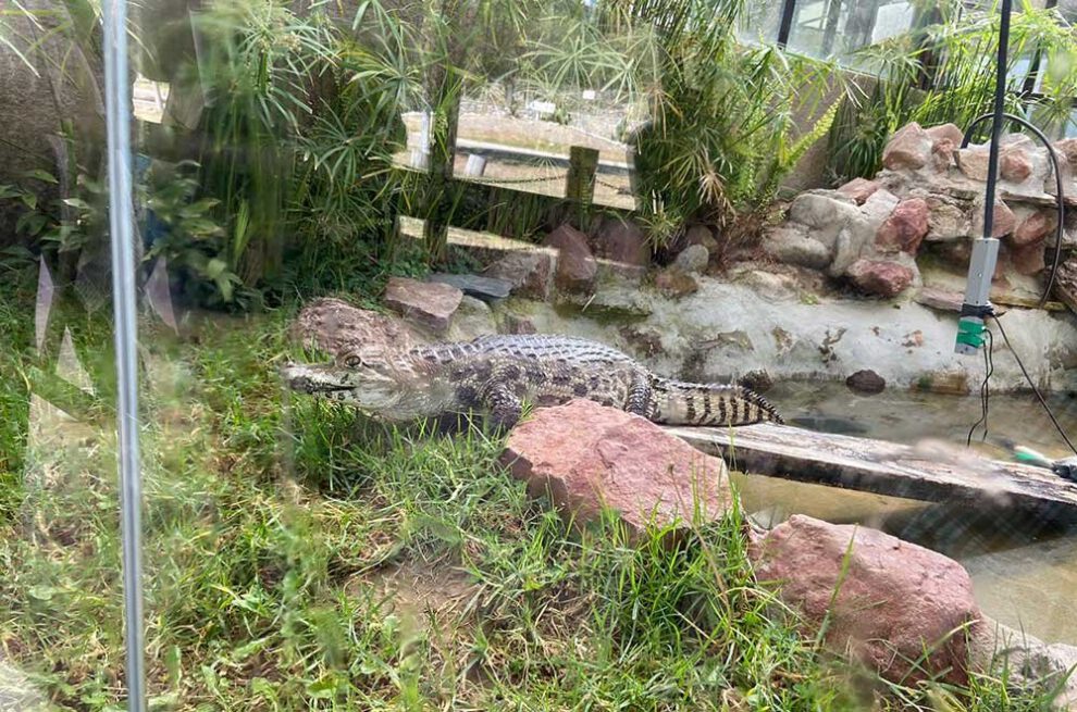 Cierre del Bioparque Vesty Pakos por irregularidades en su funcionamiento