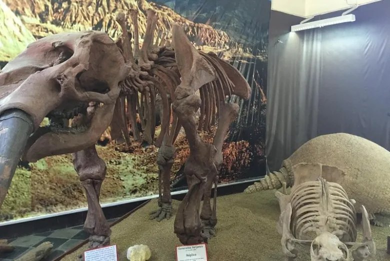 Yacimiento paleontológico de mamíferos gigantes en Tarija
