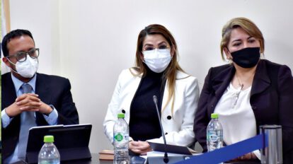 Defensa legal de Añez presenta recurso tras fallo de TCP