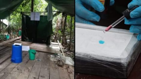 Laboratorio de droga hallado en el Parque Nacional Isiboro Sécure