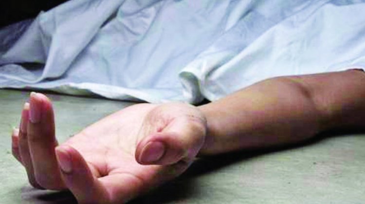 Feminicidios en el país