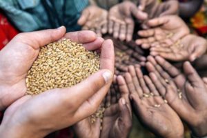 Crisis alimentaria mundial por la guerra en Ucrania y el Covid-19