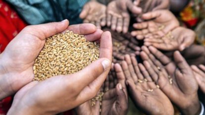 Crisis alimentaria mundial por la guerra en Ucrania y el Covid-19