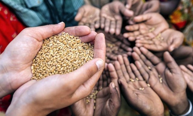 Crisis alimentaria mundial por la guerra en Ucrania y el Covid-19