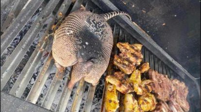 Churrasco con carne de armadillo en oficinas de Medio Ambiente