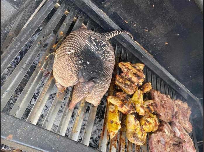 Churrasco con carne de armadillo en oficinas de Medio Ambiente