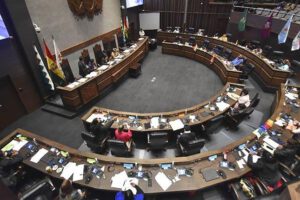 Proyecto de ley para endurecer penas en delitos de violación