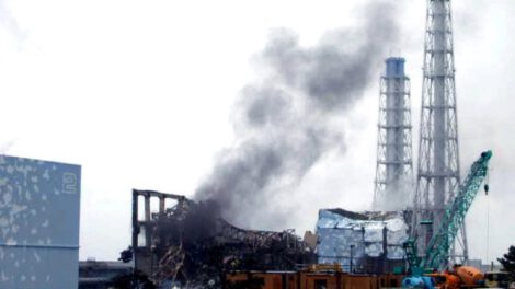 Gobierno japonés responsabilidad Fukushima