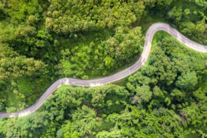 Carretera Tipnis propuesta por el Gobernador de Beni