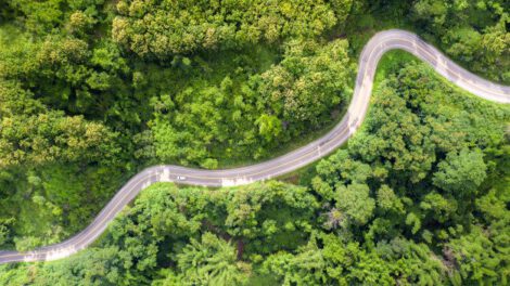 Carretera Tipnis propuesta por el Gobernador de Beni