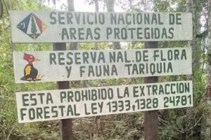 Defensa de Tariquía en marcha convocada por el Comité Cívico de Tarija