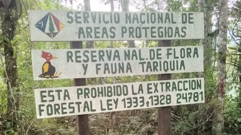 Defensa de Tariquía en marcha convocada por el Comité Cívico de Tarija