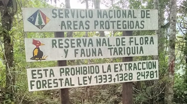 Defensa de Tariquía en marcha convocada por el Comité Cívico de Tarija