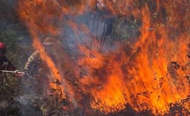 Incendios forestales en Santa Cruz