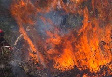 Incendios forestales en Santa Cruz