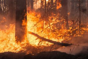 Incendio en Santa Cruz arrasa con tres mil hectáreas productivas