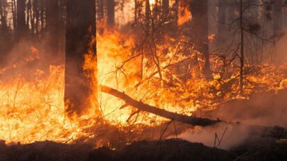 Incendio en Santa Cruz arrasa con tres mil hectáreas productivas