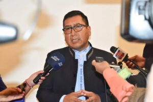 Asilo político para Áñez según Freddy Mamani