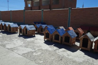 Casitas para canes en situación de calle elaboradas por alumnos de Ciencias Policiales de Caracollo