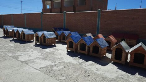Casitas para canes en situación de calle elaboradas por alumnos de Ciencias Policiales de Caracollo