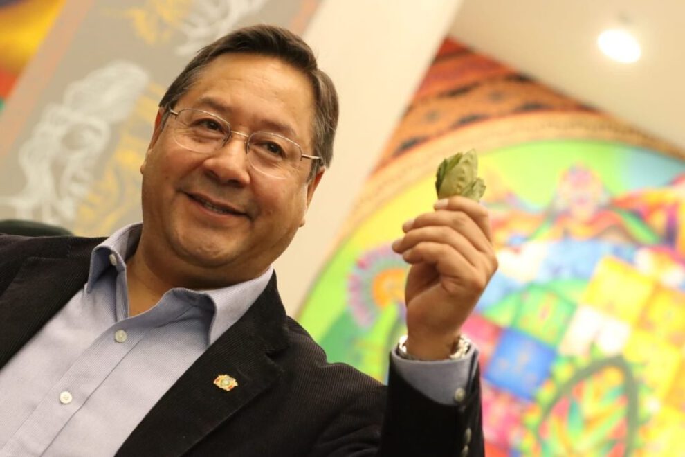 Kokabol, la nueva empresa estatal para industrializar la hoja de coca