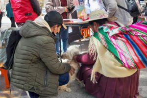 Jornada de adopción promovida por Zoonosis en la Plaza 10 de Febrero