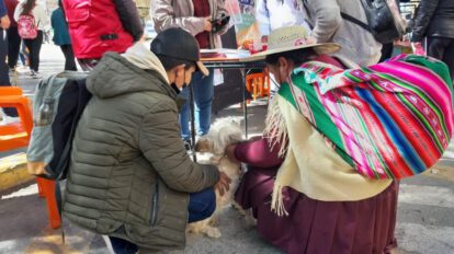 Jornada de adopción promovida por Zoonosis en la Plaza 10 de Febrero