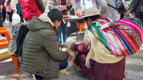 Jornada de adopción promovida por Zoonosis en la Plaza 10 de Febrero