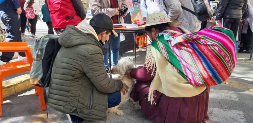 Jornada de adopción promovida por Zoonosis en la Plaza 10 de Febrero