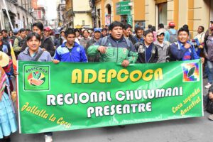 Adepcoca concentra a sus bases para cerrar el mercado paralelo de coca