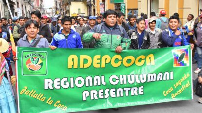 Adepcoca concentra a sus bases para cerrar el mercado paralelo de coca