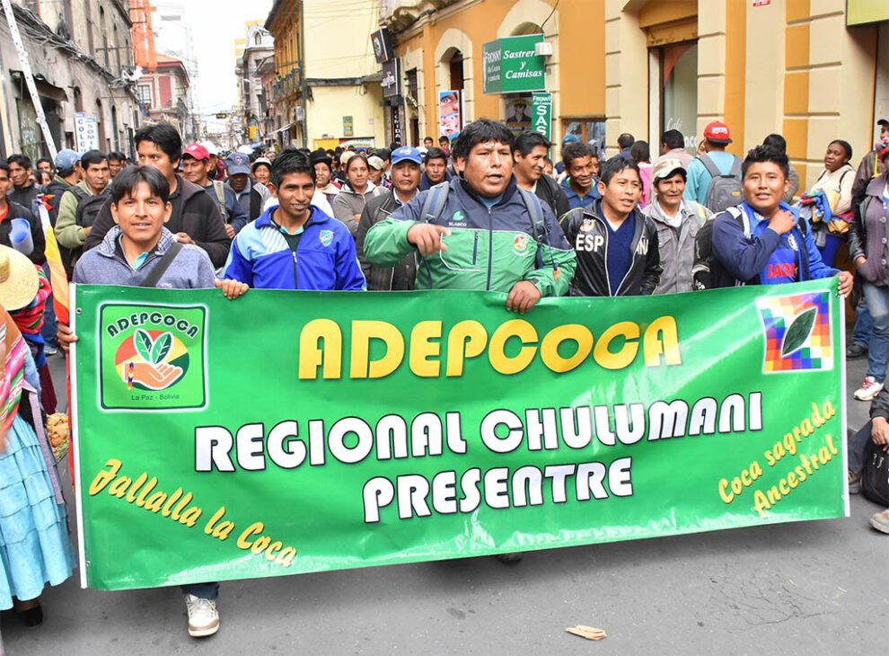 Adepcoca concentra a sus bases para cerrar el mercado paralelo de coca