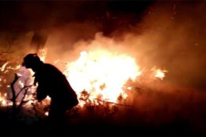 Incendio en el Parque Tunari afecta árboles y pastizales