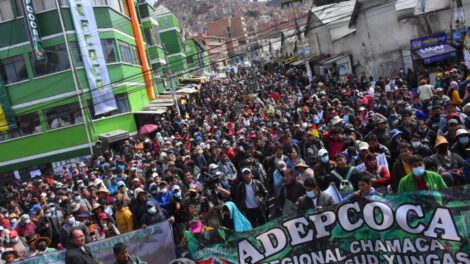 Adepcoca cierra mercado de coca en La Paz