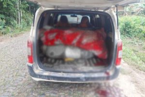 narcotráfico en Ivirgarzama