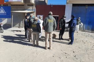 Banda criminal aprehendida en Oruro