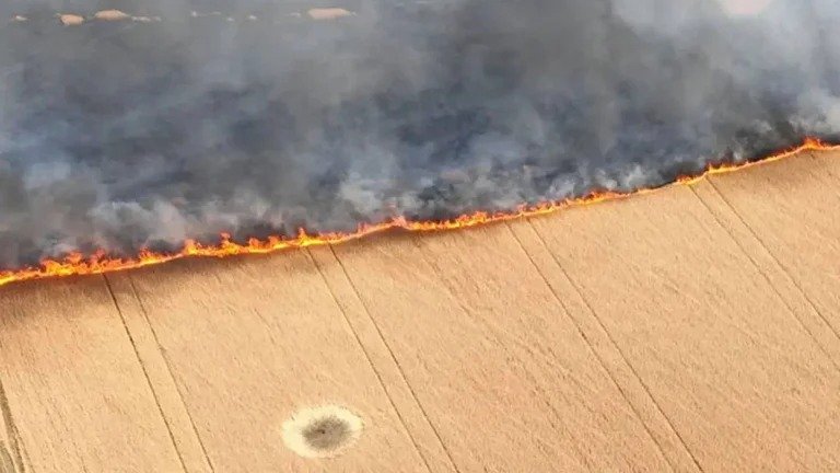 Seguridad alimentaria mundial en riesgo por quema de campos de trigo en Ucrania