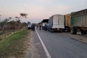 Emapa acopia maíz transgénico en San Pedro