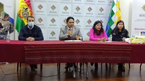 subsidio materno infantil