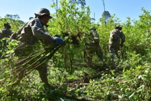 Producción de cocaína en Bolivia según datos de EE.UU.