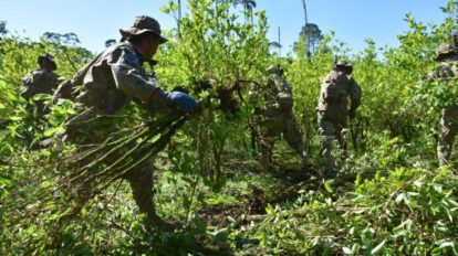 Producción de cocaína en Bolivia según datos de EE.UU.