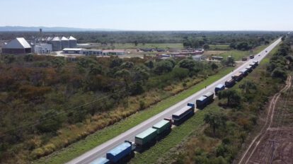 Biotecnología en producción agrícola