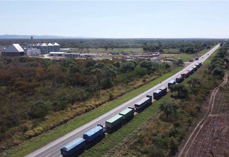 Biotecnología en producción agrícola